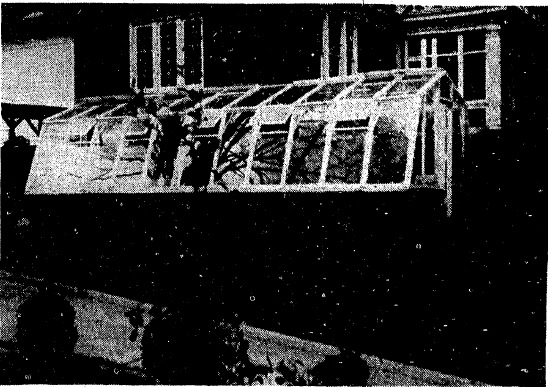 Greenhouse at 100 West Rosemont Avenue, 1954