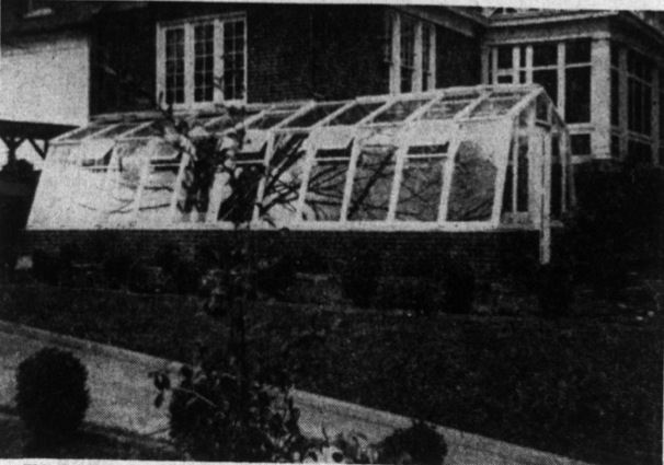 Greenhouse at 100 West Rosemont Avenue, 1954